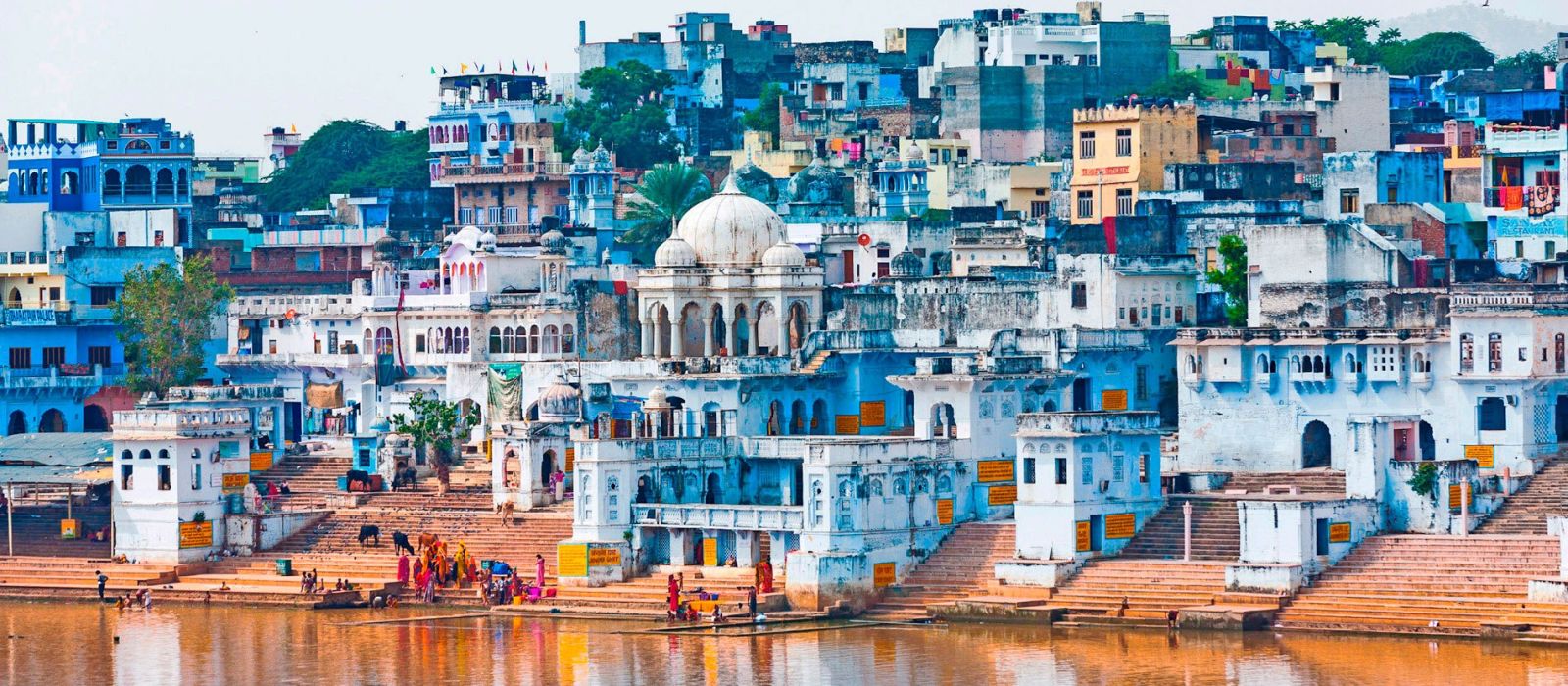 Viaje a la Feria de Pushkar